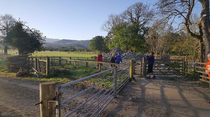 Leg 7 (8).jpg - IICSA